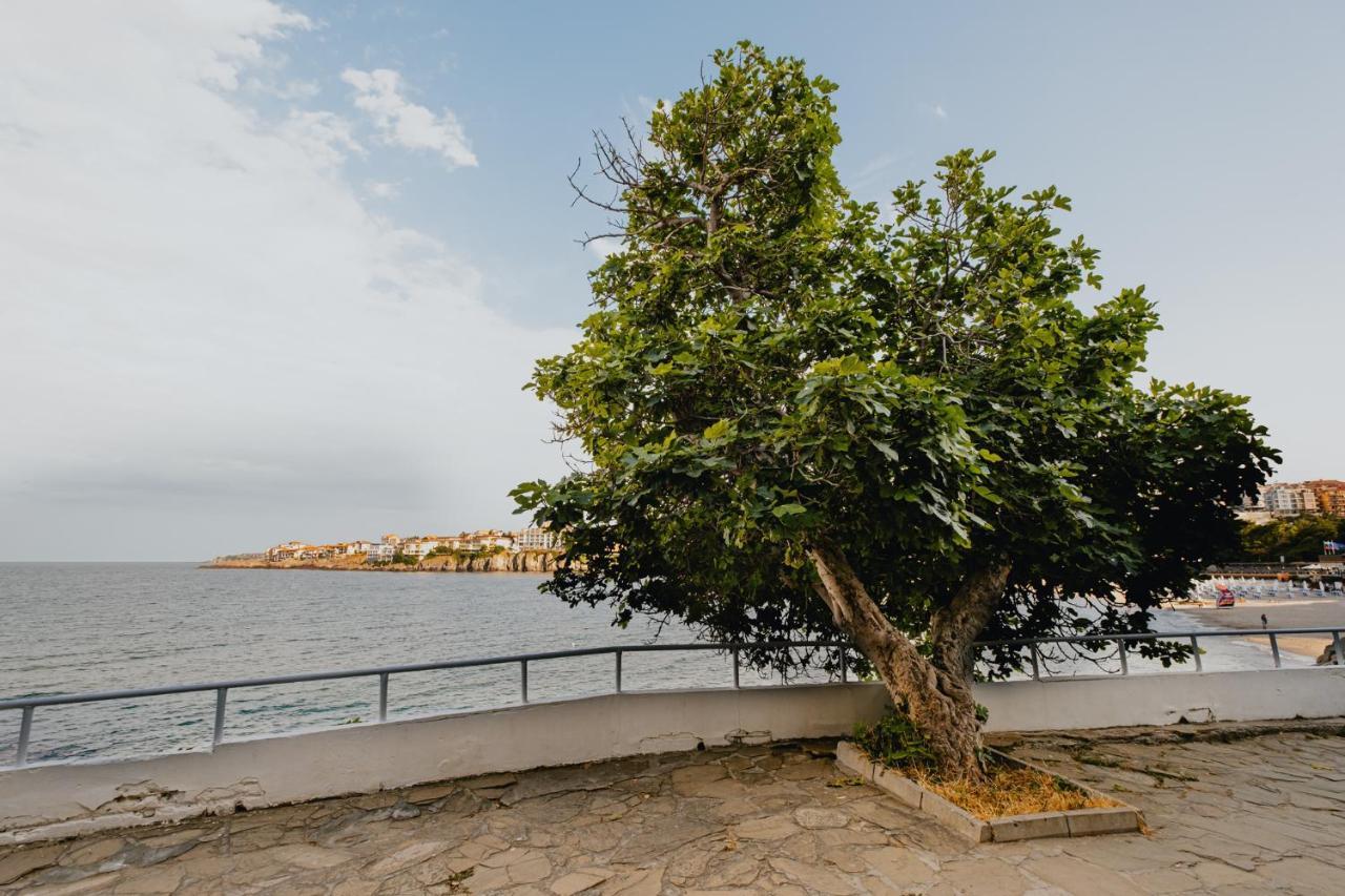 Miletia Suites Sozopol Zewnętrze zdjęcie